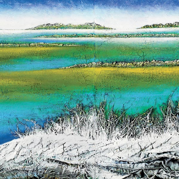 Mario Paschetta - Le Acque - lagoons and everglades - 2010, tecnica mista, trittico, cm 160x300